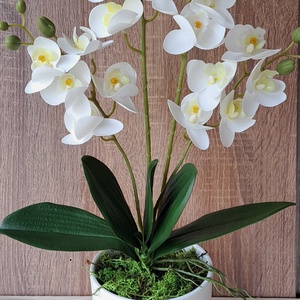 Gondozásmentes orchidea , Otthon & Lakás, Dekoráció, Asztal és polc dekoráció, Asztaldísz, Virágkötés, MESKA