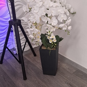 Álló kaspós orchidea , Otthon & Életmód, Dekoráció, Dísztárgy, Virágkötés, MESKA