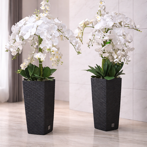 Álló orchidea, , Virágkötés, MESKA