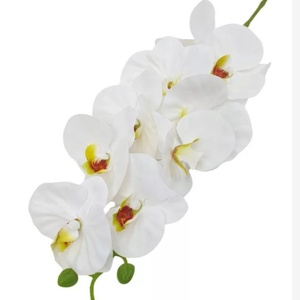 Orchidea  - otthon & életmód - virágdekoráció - virágdíszítő kellékek - Meska.hu