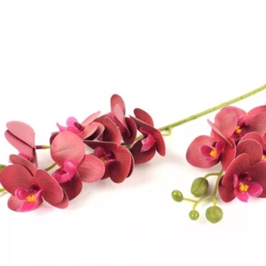 Kaspós orchidea  - otthon & életmód - dekoráció - asztal és polc dekoráció - asztaldísz - Meska.hu