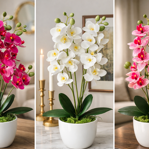 Kaspós orchidea , Otthon & Életmód, Dekoráció, Asztal és polc dekoráció, Asztaldísz, Virágkötés, MESKA