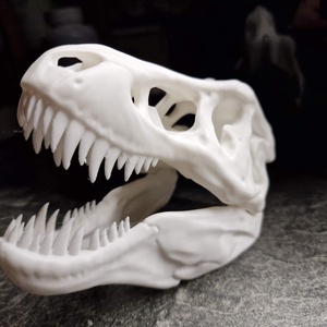 T-rex koponya - Meska.hu