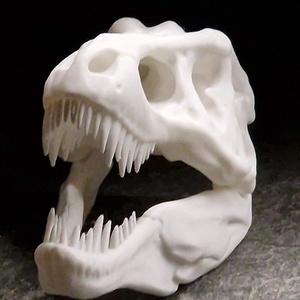 T-rex koponya - otthon & életmód - dekoráció - dísztárgy - Meska.hu