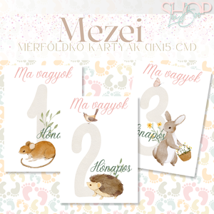 Mérföldkő kártyák - Mezei (11x15 cm), Ruha & Divat, Babaruha & Gyerekruha, Babafotózási ruha és kellék, Mindenmás, MESKA