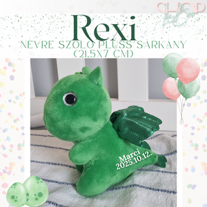 Rexi -Névre szóló plüss sárkány (21,5x7 cm) - játék & sport - plüssállat & játékfigura - plüss sárkány - Meska.hu
