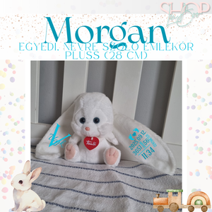 Morgan - Egyedi, névre szóló emlékőr plüss (28 cm) - Meska.hu