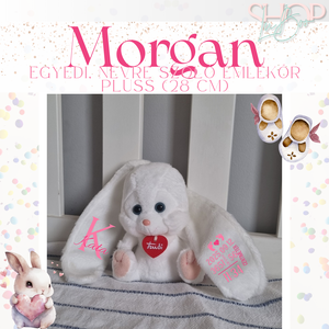 Morgan - Egyedi, névre szóló emlékőr plüss (28 cm) - játék & sport - plüssállat & játékfigura - nyuszi - Meska.hu