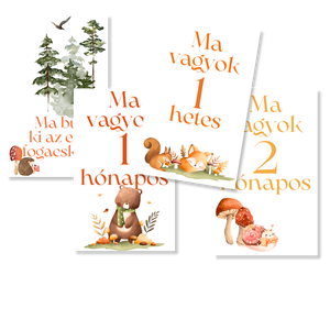 Mérföldkő kártyák - Erdei (11x15 cm) - baba - mama - babafotózás - baba mérföldkő kártyák - Meska.hu