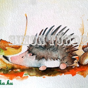 Süni - Meska.hu