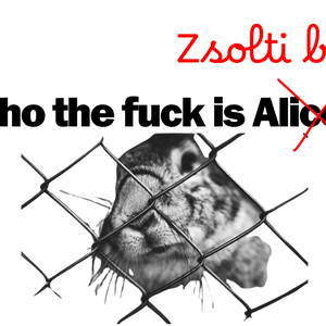 Zsolti bácsi póló, Ruha & Divat, Férfi ruha, Póló, Fotó, grafika, rajz, illusztráció, MESKA