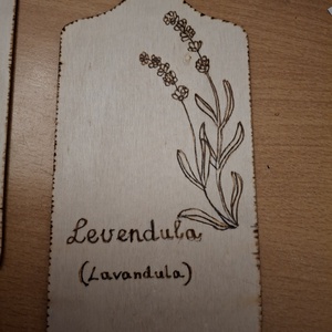  Kézműves Botanikai Dísztábla � Füvészkert a Konyhában - otthon & életmód - dekoráció - asztal és polc dekoráció - gravírozott táblák - Meska.hu