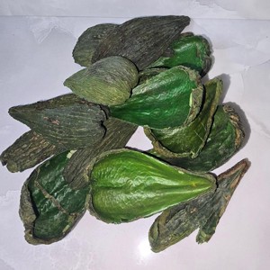 KisÖprŐ akciÓ! páncélos vaddohány - zöld 4 dkg, Kellékek & szerszámok, Dekorációs kellékek, Termések, terméscsomagok, , MESKA