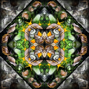 EXOTIKALEIDOSCOPE: CSIGÁK - otthon & életmód - dekoráció - kép & falikép - vászonkép - Meska.hu