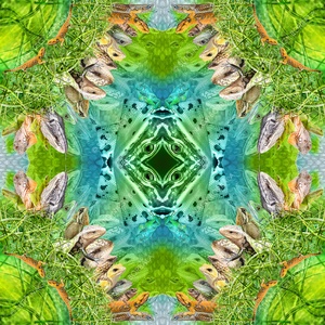 EXOTIKALEIDOSCOPE: GYÍKOK - otthon & életmód - dekoráció - kép & falikép - vászonkép - Meska.hu