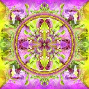 EXOTIKALEIDOSCOPE: HÚSEVŐ NÖVÉNYEK - otthon & életmód - dekoráció - kép & falikép - vászonkép - Meska.hu
