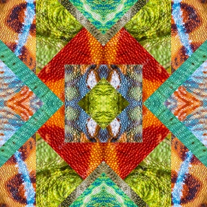 EXOTIKALEIDOSCOPE: KAMÉLEONBŐR - otthon & életmód - dekoráció - kép & falikép - vászonkép - Meska.hu