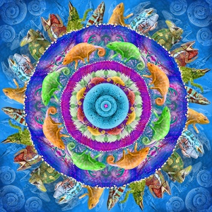 EXOTIKALEIDOSCOPE: KAMÉLEONOK - otthon & életmód - dekoráció - kép & falikép - vászonkép - Meska.hu