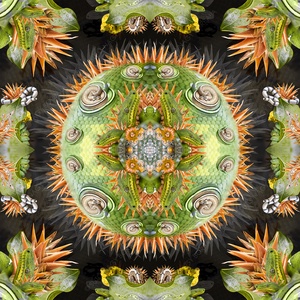 EXOTIKALEIDOSCOPE: KÍGYÓK - otthon & életmód - dekoráció - kép & falikép - vászonkép - Meska.hu