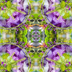 EXOTIKALEIDOSCOPE: NÖVÉNYEK - otthon & életmód - dekoráció - kép & falikép - vászonkép - Meska.hu