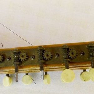 Antik Mandriola vagy Tricordia, 12 húros mandolin. Meinel - Herold 1910-1920 évek - könyv & zene - hangszer & hangszertok - Meska.hu