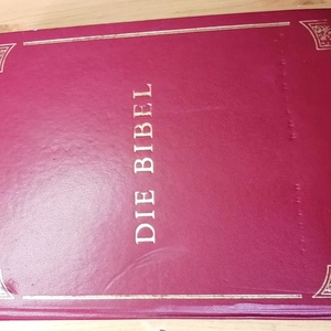 Die Bibel, Német nyelvű szent biblia sok illusztrációval 2004-ből, Könyv & Zene, Könyv, Könyvkötés, MESKA