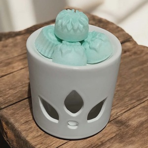 Illatviasz ( karácsonyi ajándék ), Otthon & Életmód, Gyertya, illat, aroma, Illatviasz, Gyertya-, mécseskészítés, MESKA