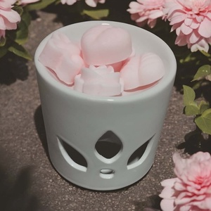 Illatviasz ( kókuszos vanília ), Otthon & Életmód, Gyertya, illat, aroma, Illatviasz, Gyertya-, mécseskészítés, MESKA