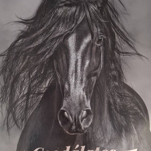 Lovas box ajándékdoboz - otthon & életmód - papír, írószer - ajándékozás kellékei - ajándékzsák, csomagolás - Meska.hu