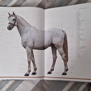 Lovas box ajándékdoboz - otthon & életmód - papír, írószer - ajándékozás kellékei - ajándékzsák, csomagolás - Meska.hu