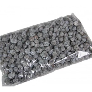 Casuarina 25 dkg - falfestékes szürke - kellékek & szerszámok - dekorációs kellékek - termések, terméscsomagok - Meska.hu