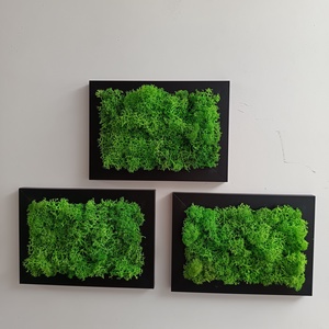 Izlandi zuzmó képsorozat  - otthon & életmód - dekoráció - fali és függő dekoráció - zuzmókép, mohakép - Meska.hu Izlandi zuzmó képsorozat  - otthon & életmód - dekoráció - fali és függő dekoráció - zuzmókép, mohakép - Meska.hu