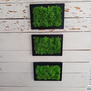 Izlandi zuzmó képsorozat  - otthon & életmód - dekoráció - fali és függő dekoráció - zuzmókép, mohakép - Meska.hu Izlandi zuzmó képsorozat  - otthon & életmód - dekoráció - fali és függő dekoráció - zuzmókép, mohakép - Meska.hu