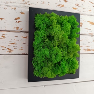 Izlandi zuzmó kép  - otthon & életmód - dekoráció - fali és függő dekoráció - zuzmókép, mohakép - Meska.hu Izlandi zuzmó kép  - otthon & életmód - dekoráció - fali és függő dekoráció - zuzmókép, mohakép - Meska.hu