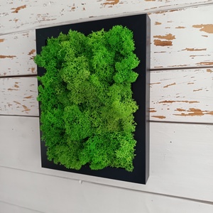 Izlandi zuzmó kép  - otthon & életmód - dekoráció - fali és függő dekoráció - zuzmókép, mohakép - Meska.hu Izlandi zuzmó kép  - otthon & életmód - dekoráció - fali és függő dekoráció - zuzmókép, mohakép - Meska.hu