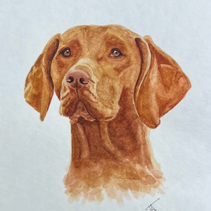 Egyedi kutyaportré aquarell festmény - Meska.hu