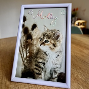 Egyedi fotóhímzés házi kedvenced nevével  - diy (csináld magad) - szabásminta, útmutató - hímzés minta - Meska.hu