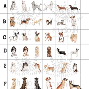 Személyre szóló, egyedi kutyás falikép, házi kedvenc falikép, kutyás dekoráció, névreszóló kutyus kép  -  - Meska.hu