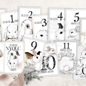 Nyuszis Baba fotó kártya, babaköszöntő kártyák, Milestone card, baba hónapos kártya, fotó kártya ajándék  -  - Meska.hu