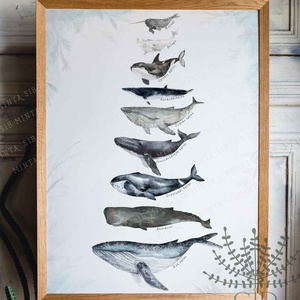 Bálna edukációs poszter bálna nevekkel nagyság szerint, Otthon & Lakás, Dekoráció, Kép & Falikép, Poszter, Fotó, grafika, rajz, illusztráció, Meska