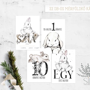 Nyuszi grafikás mérföldkő kártya csomag - Meska.hu