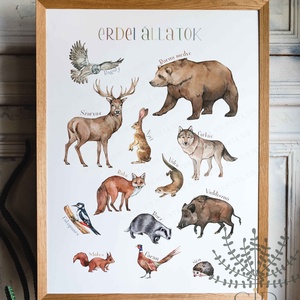Erdei állatok edukációs poszter, erdő állatvilág poszter gyerekeknek, Otthon & Lakás, Dekoráció, Kép & Falikép, Poszter, Fotó, grafika, rajz, illusztráció, MESKA