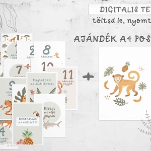 LETÖLTHETŐ, Safari állat mintás baba mérföldkő hónapkártya - művészet - grafika & illusztráció - digitális - Meska.hu