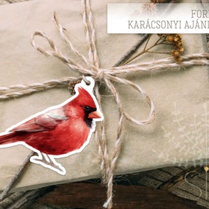 karácsonyi ajándékkísérő, ajándékátadó címke, vörös pinty - karácsony - karácsonyi ajándékozás - karácsonyi képeslap, üdvözlőlap, ajándékkísérő - Meska.hu