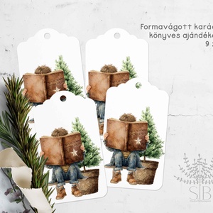 Karácsonyi ajándékkísérő, könyv mintás formavágott ajándékátadó címke, Karácsony, Karácsonyi ajándékozás, Karácsonyi képeslap, üdvözlőlap, ajándékkísérő, Fotó, grafika, rajz, illusztráció, Kedves könyvmoly mintás Karácsonyi ajándékkísérő, ajándékátadó címke.
Ünnepi formavágott illusztrál..., MESKA
