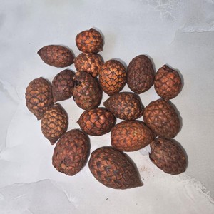 Cane fruit - narancs 5 dkg, Kellékek & szerszámok, Dekorációs kellékek, Termések, terméscsomagok, , MESKA