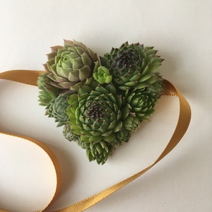 Kövirózsa szív-ajándékcsomagoláshoz - Meska.hu