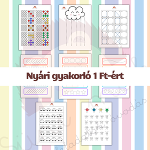 Nyári gyakorló - PDF - 1 Ft!, Játék & Sport, Készségfejlesztő és Logikai játék, Logikai játékok, Fotó, grafika, rajz, illusztráció, MESKA