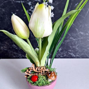 Cserepes tulipán, Otthon & Lakás, Dekoráció, Virágdísz és tartó, Virágbox, virágdoboz, Mindenmás, MESKA