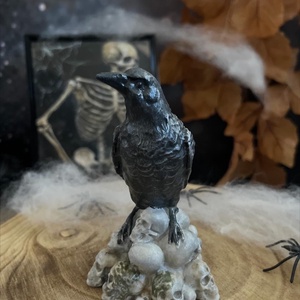 Varjú koponyákon - Meska.hu